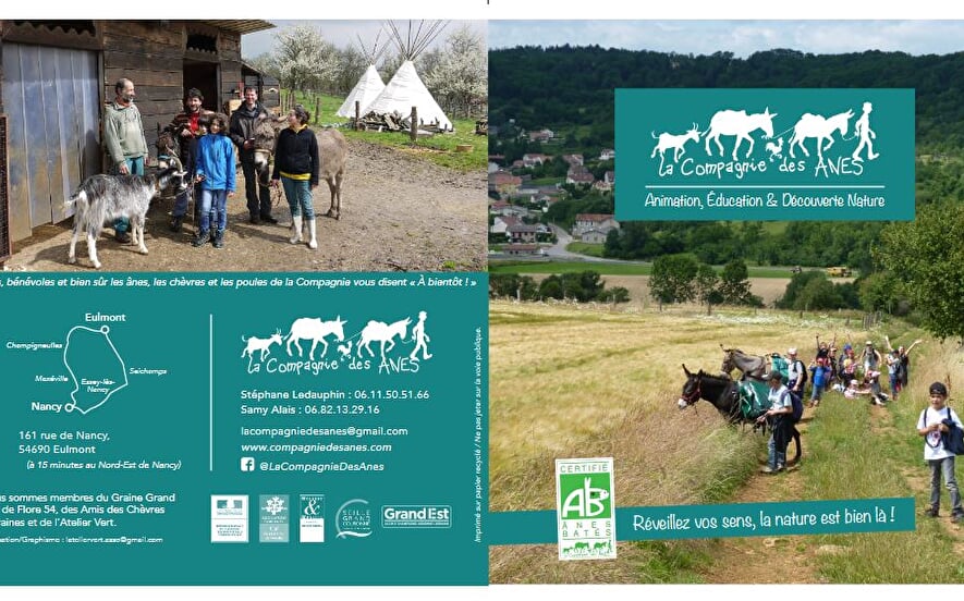 La compagnie des ânes