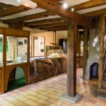 Vivarium du moulin