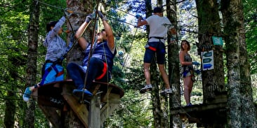 Parc aventure au Ballon d'Alsace