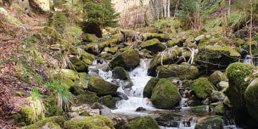 La Gorge des Roitelets