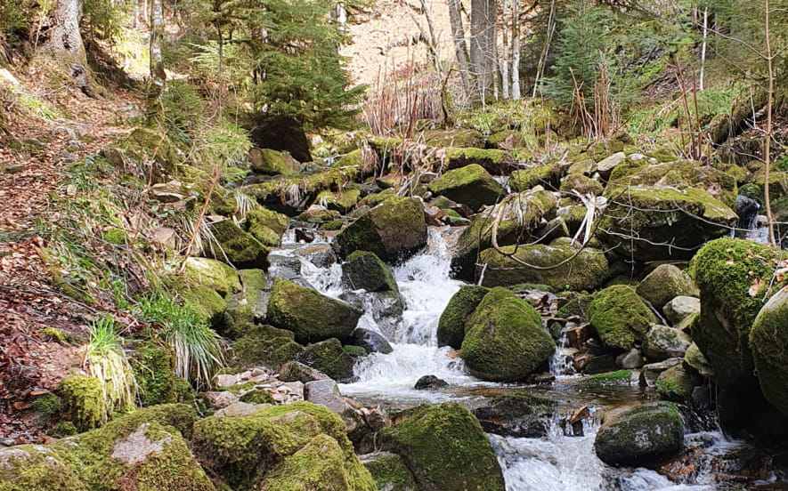 La Gorge des Roitelets