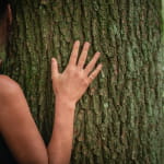 Journée cocooning bien être en immersion dans la nature