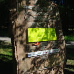 Symposium de sculptures :  la Roche Solaire