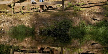 Circuit rando C35 : Les etangs de Salm et la basse Madeleine