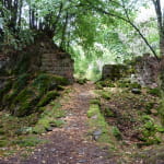 Ruines du Château du Grand Ringelstein