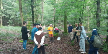 Forêt En Tous Sens