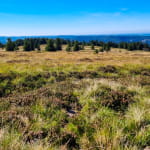 La réserve naturelle du Tanet - Gazon du Faing