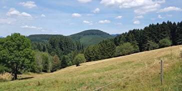 Circuit poussettes 4x4 H02 : La clairière du Hang