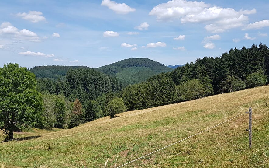 Circuit poussettes 4x4 H02 : La clairière du Hang