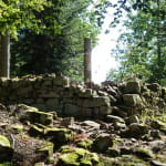 Ruines du Château du Petit-Ringelstein