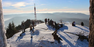 Massif forestier du Donon