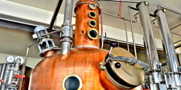 Visite guidée privée premium de la distillerie