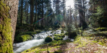 Cascade de la Wormsa