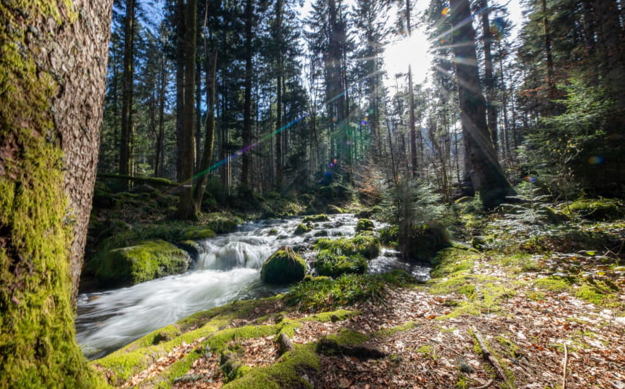 Cascade de la Wormsa