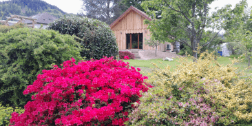 Gîte Le P'tit nid sous le chêne