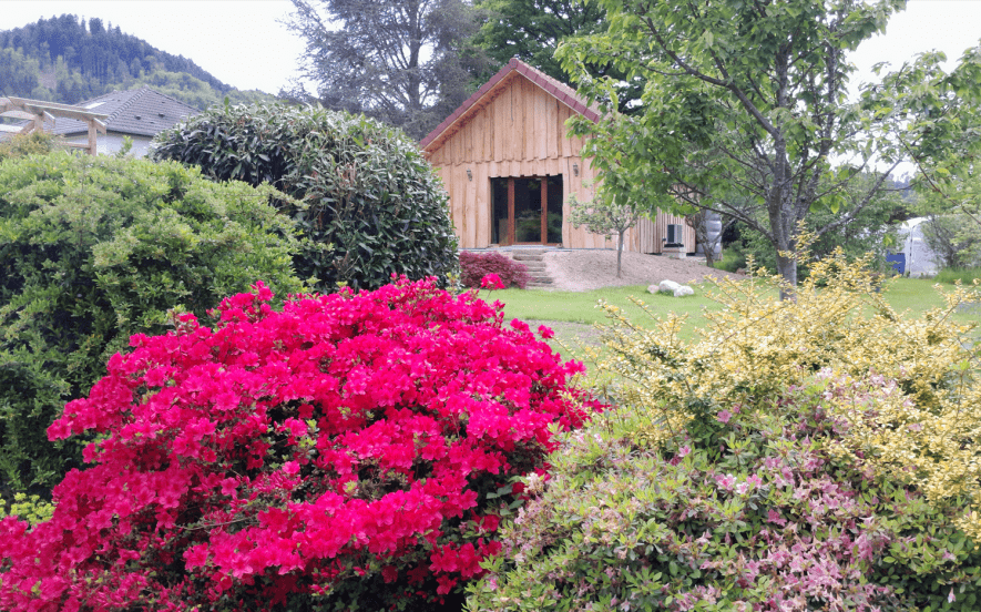 Gîte Le P'tit nid sous le chêne