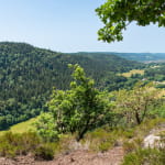 Le point de vue de Giropaire