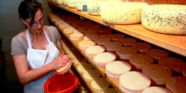 Ferme du Schoultzbach