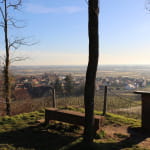 Les mystères du vignoble : Orschwiller