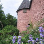 Jardin médiéval du Château du Haut-Koenigsbourg