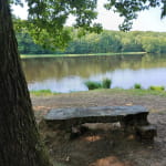 Site de pique nique à l'Etang des Monts Reveaux 