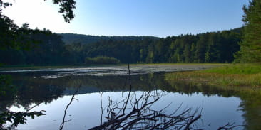 Étang de Waldeck - réserve naturelle