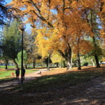 Parc Thermal