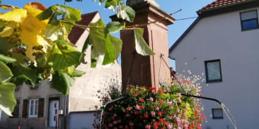 Découverte alsacienne : vin, gastronomie, patrimoine et art