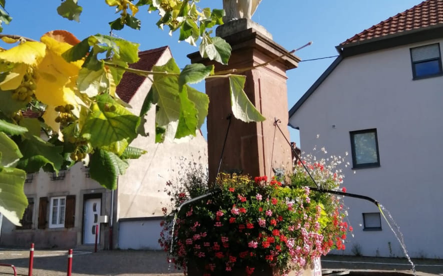 Découverte alsacienne : vin, gastronomie, patrimoine et art