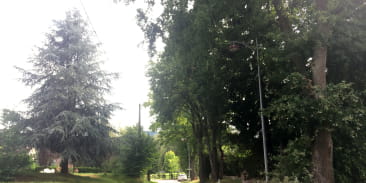 Allée des Chênes