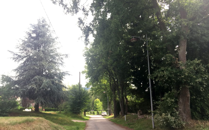 Allée des Chênes