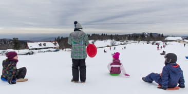 Luge au Ballon d'Alsace
