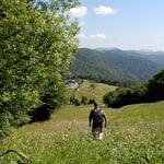 Le sentier du souvenir