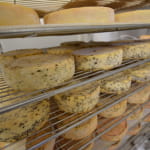 Ferme  des Cotes du Frene