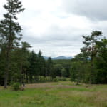 Sentier thématique : Le sentier de découverte de la forêt