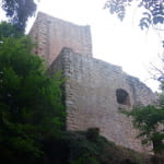 Château du Hagueneck