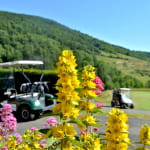 Découverte du golf et du métier d'enseignant de golf