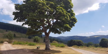 Circuit poussettes 4x4 C02 : autour du col de la Perheux