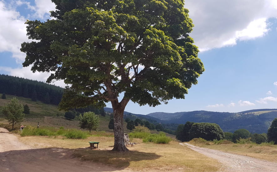 Circuit poussettes 4x4 C02 : autour du col de la Perheux