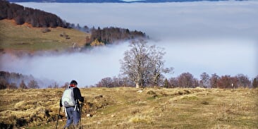 Col du Hundsruck