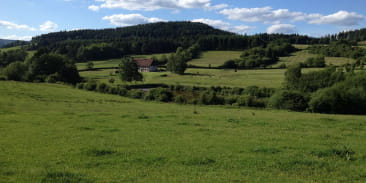 La clairière du Hang