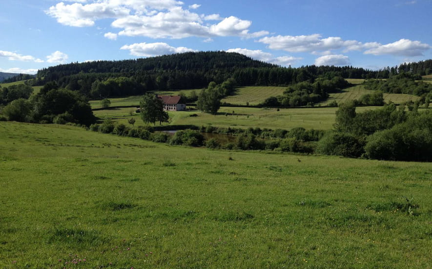 La clairière du Hang