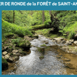 RANDONNÉE - LA RONDE DE LA FORET DOMANIALE DE