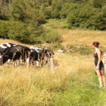 Balade famille - Le Sentier des chèvres