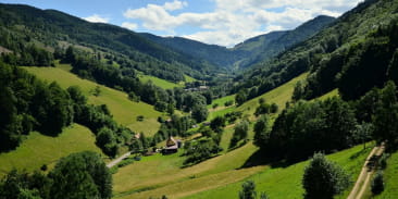 Le Patrimoine agricole et forestier