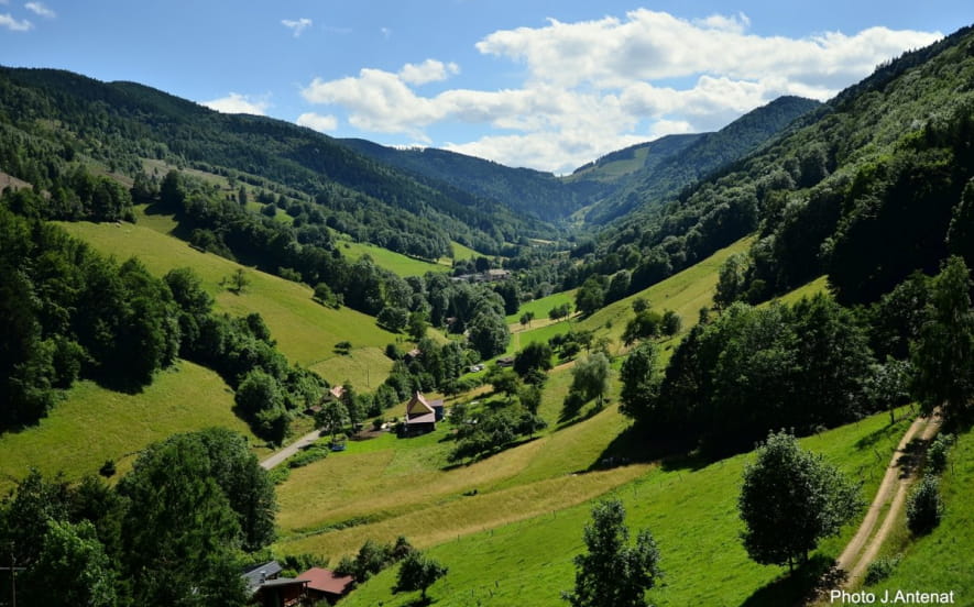 Le Patrimoine agricole et forestier