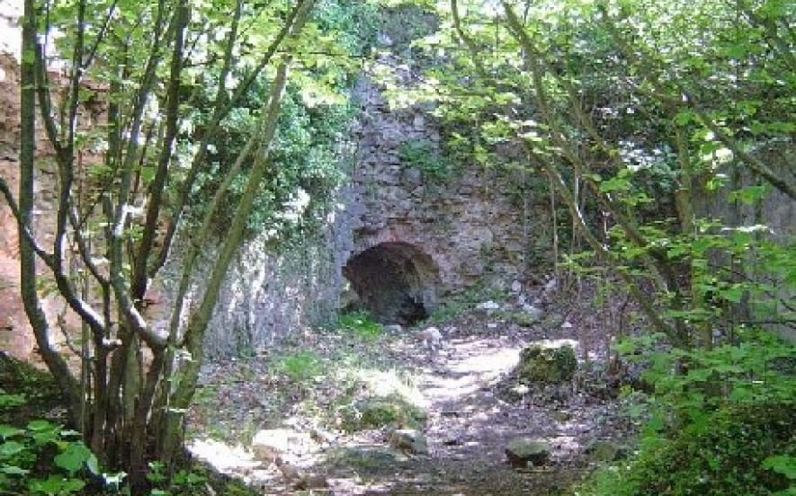 Château de Schwarzenbourg - ruines