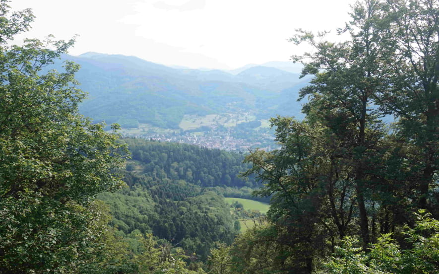 L'observatoire du Sudel
