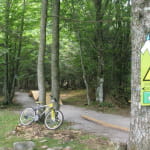 Easy Bike Park : Parcours d’habileté VTT au Schnepfenried