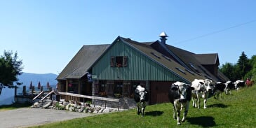 Ferme-Auberge du Gaschney